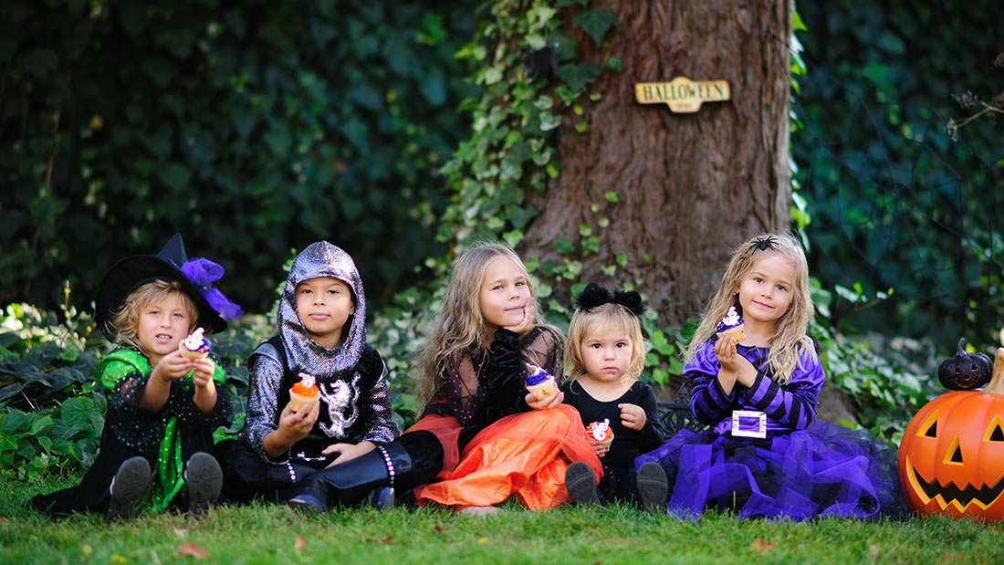 qode interactive strata